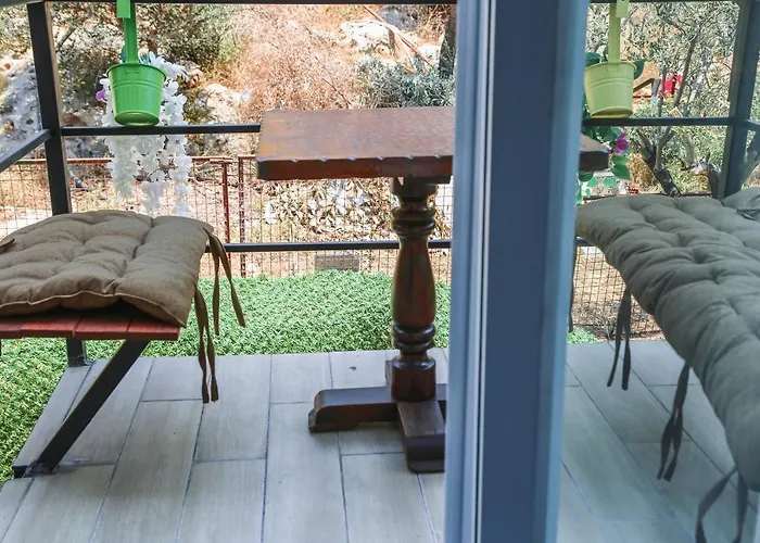 Just Dream カシュ